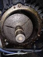 ������ձþS��